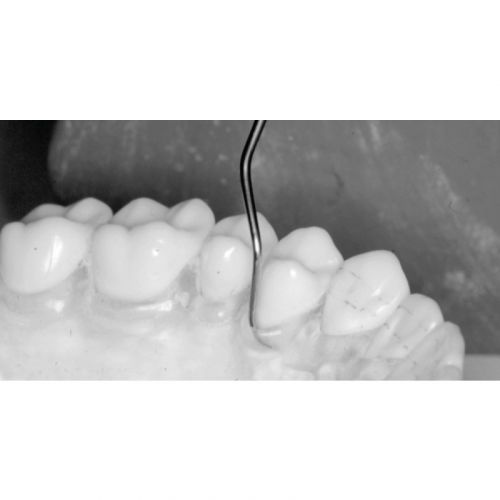 Зонд стоматологический LM 11-12