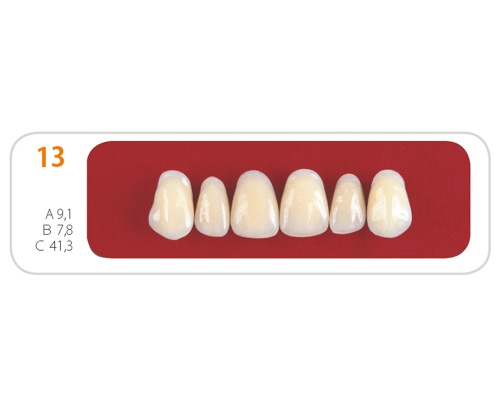 Зубы - Зубы Uniсryl 13