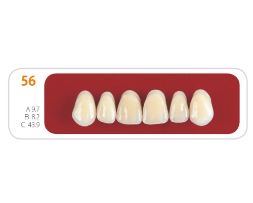 Зубы - Зубы Uniсryl 56