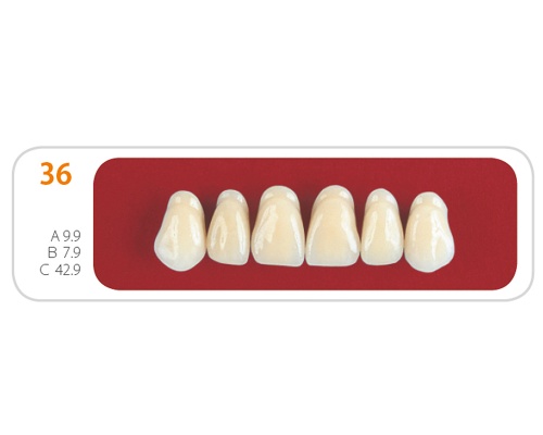 Зубы - Зубы Uniсryl 36