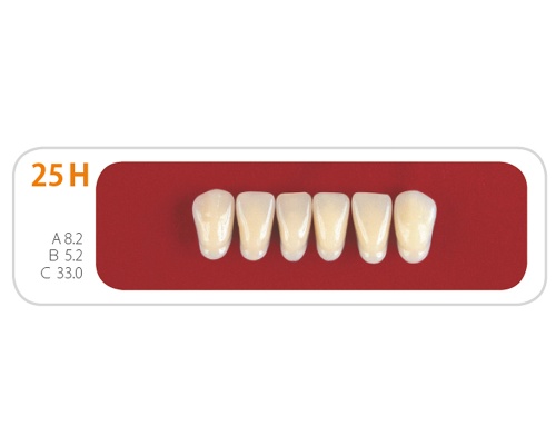 Зубы - Зубы Uniсryl 25H