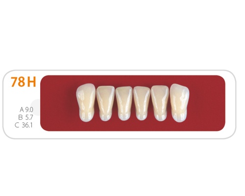 Зубы - Зубы Uniсryl 78H