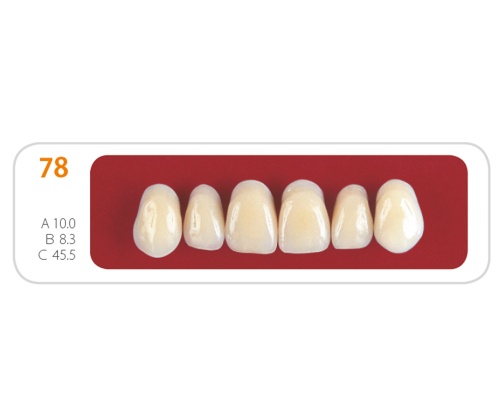 Зубы - Зубы Uniсryl 78