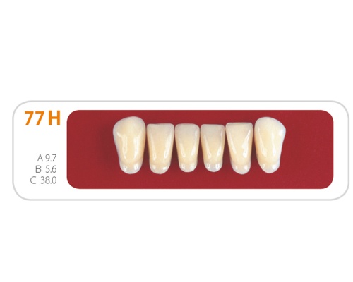 Зубы - Зубы Uniсryl 77H