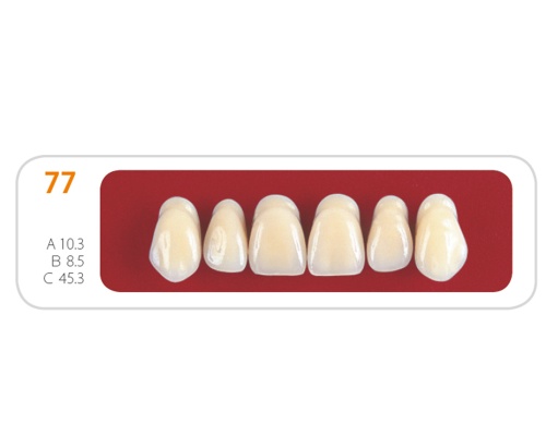 Зубы - Зубы Uniсryl 77