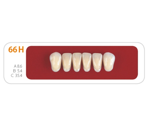 Зубы - Зубы Uniсryl 66H