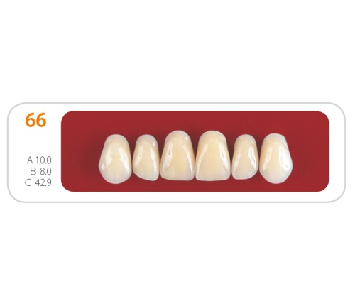Зубы - Зубы Uniсryl 66