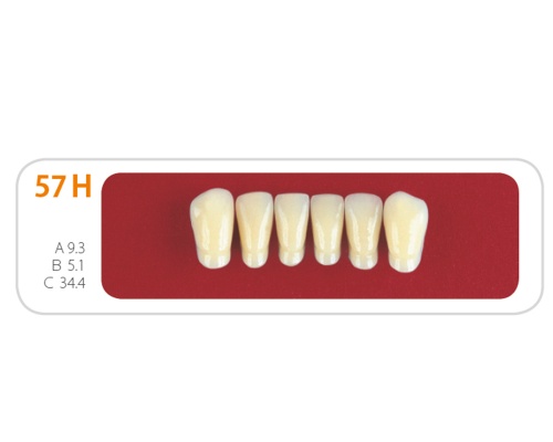 Зубы - Зубы Uniсryl 57H
