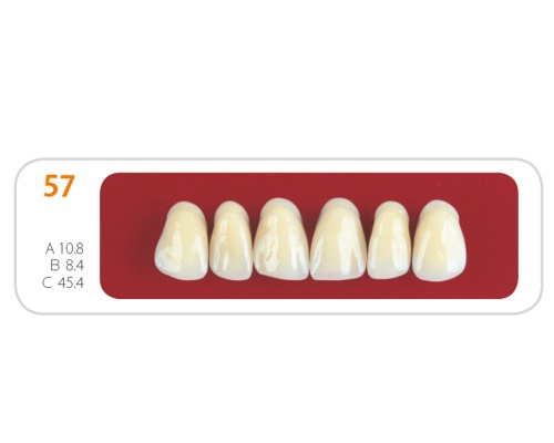 Зубы - Зубы Uniсryl 57
