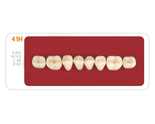 Зубы - Зубы Uniсryl 41H