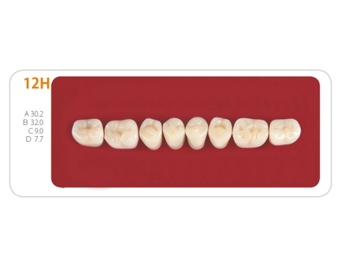 Зубы - Зубы Uniсryl 12H