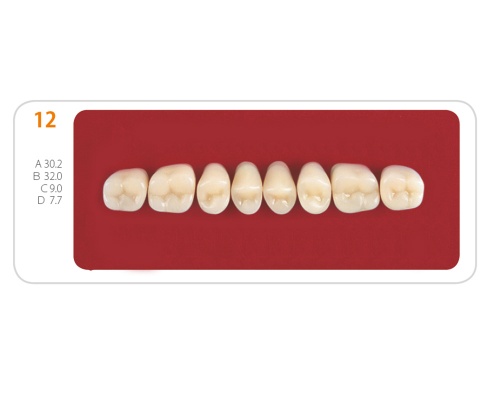 Зубы - Зубы Uniсryl 12