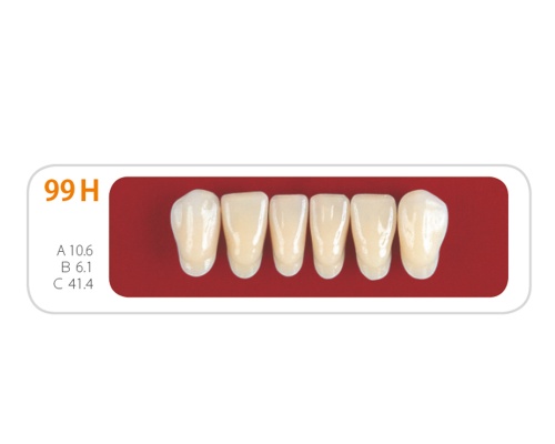 Зубы - Зубы Uniсryl 99H