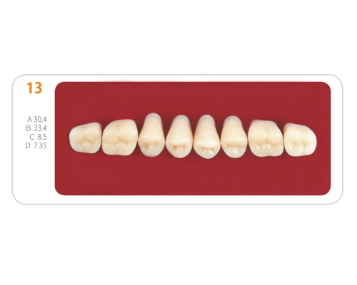 Зубы - Зубы Uniсryl 13