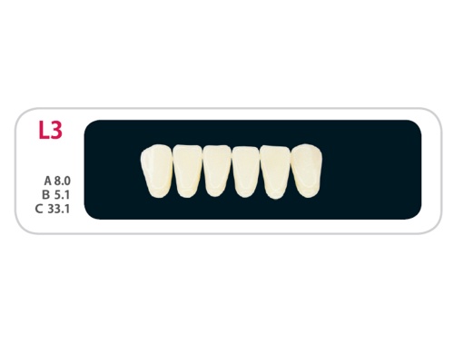 Зубы - Зубы Uniсryl Plus L3