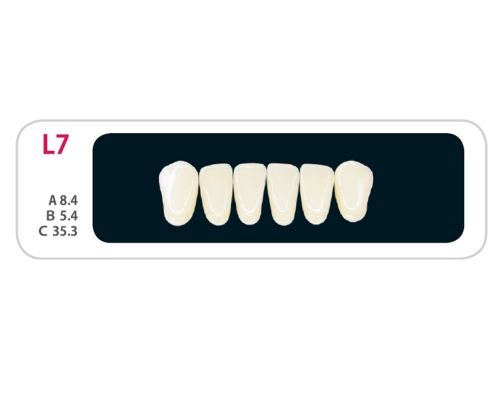 Зубы - Зубы Uniсryl Plus L7