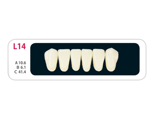 Зубы - Зубы Uniсryl Plus L14