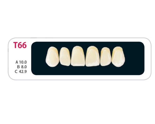 Зубы - Зубы Uniсryl Plus T66