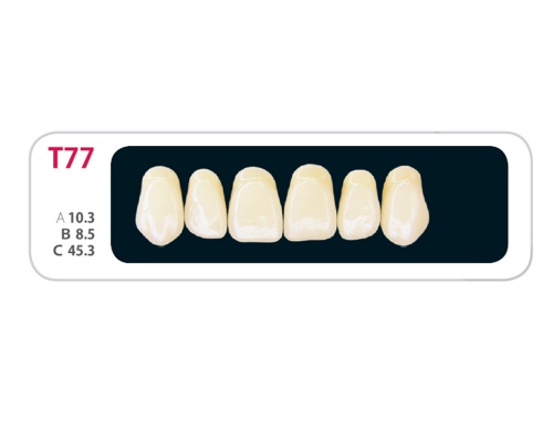 Зубы - Зубы Uniсryl Plus T77