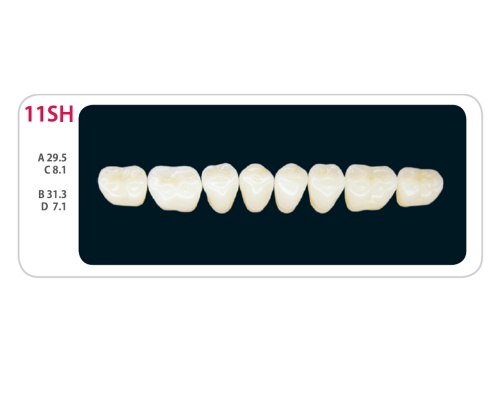Зубы - Зубы Uniсryl Plus 11SH