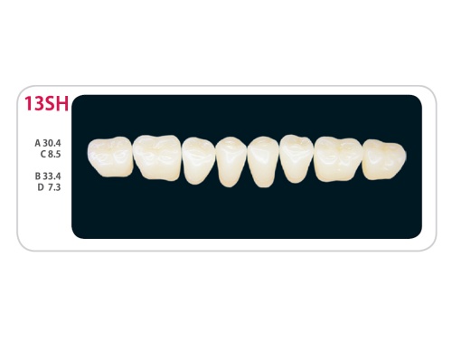 Зубы - Зубы Uniсryl Plus 13SH