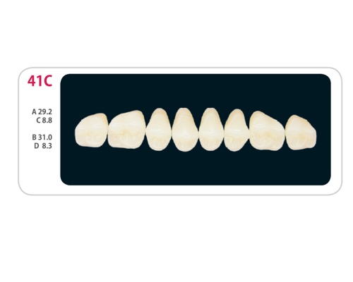 Зубы - Зубы Uniсryl Plus 41C