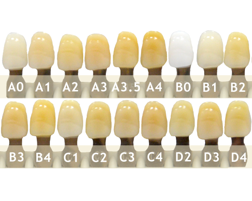 Зубы - Зубы Uniсryl 35H