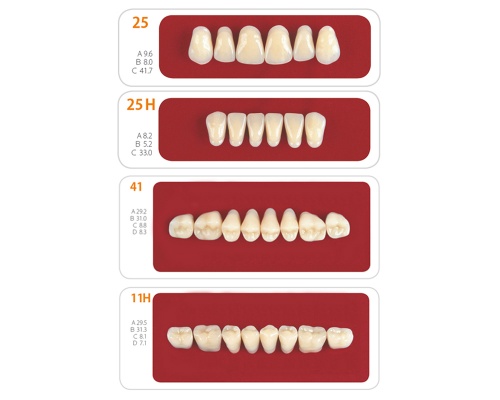 Зубы - Набор зубов 2