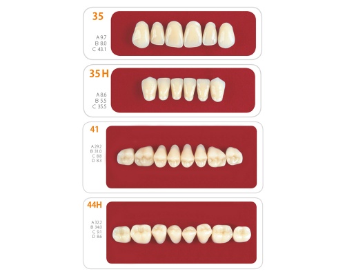 Зубы - Набор зубов 3