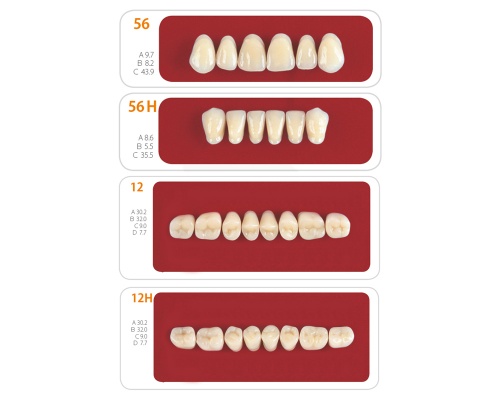 Зубы - Набор зубов 7