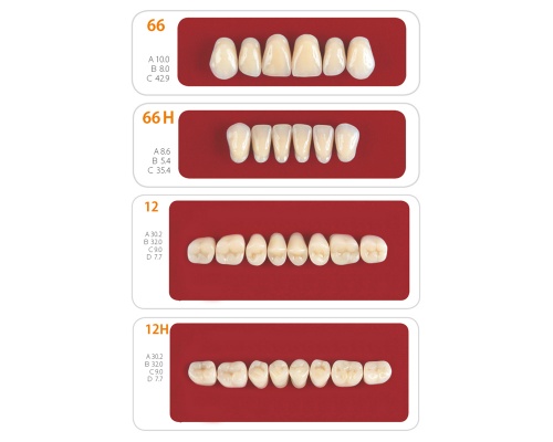 Зубы - Набор зубов 8