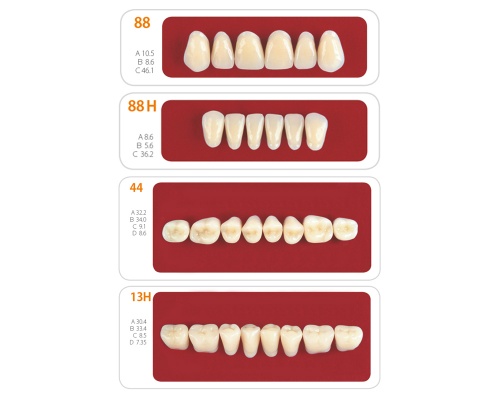 Зубы - Набор зубов 11