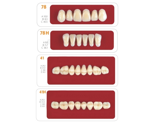 Зубы - Набор зубов 12