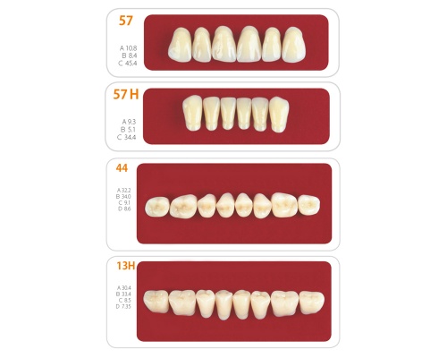 Зубы - Набор зубов 14