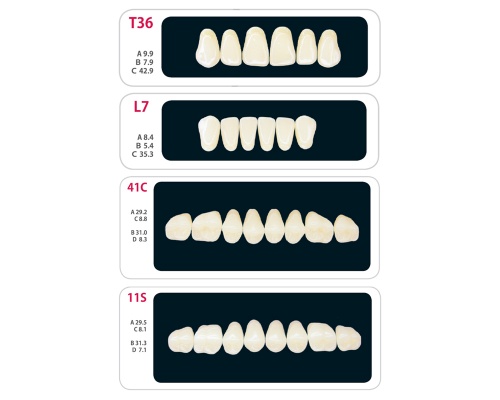 Зубы - Набор зубов 4