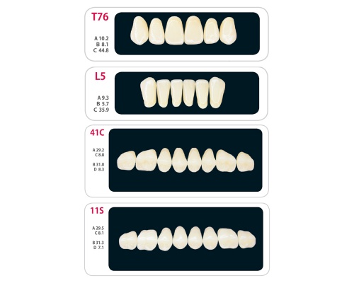 Зубы - Набор зубов 6