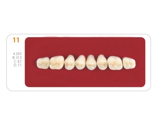 Зубы - Зубы Uniсryl 11